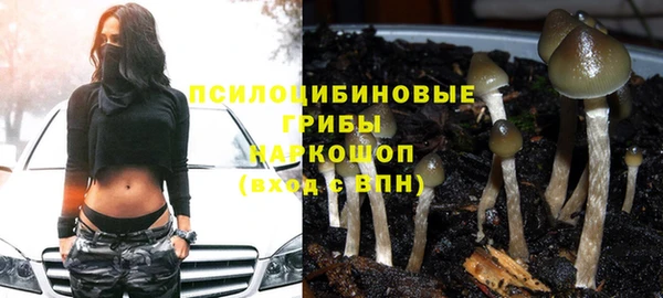 мескалин Алексин